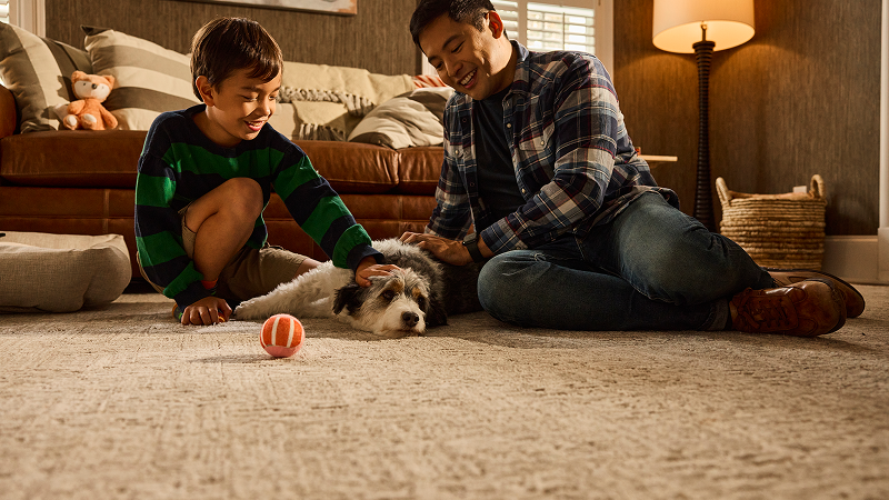 Amalfi | DreamWeaver Carpet Flooring | Engineered Floors