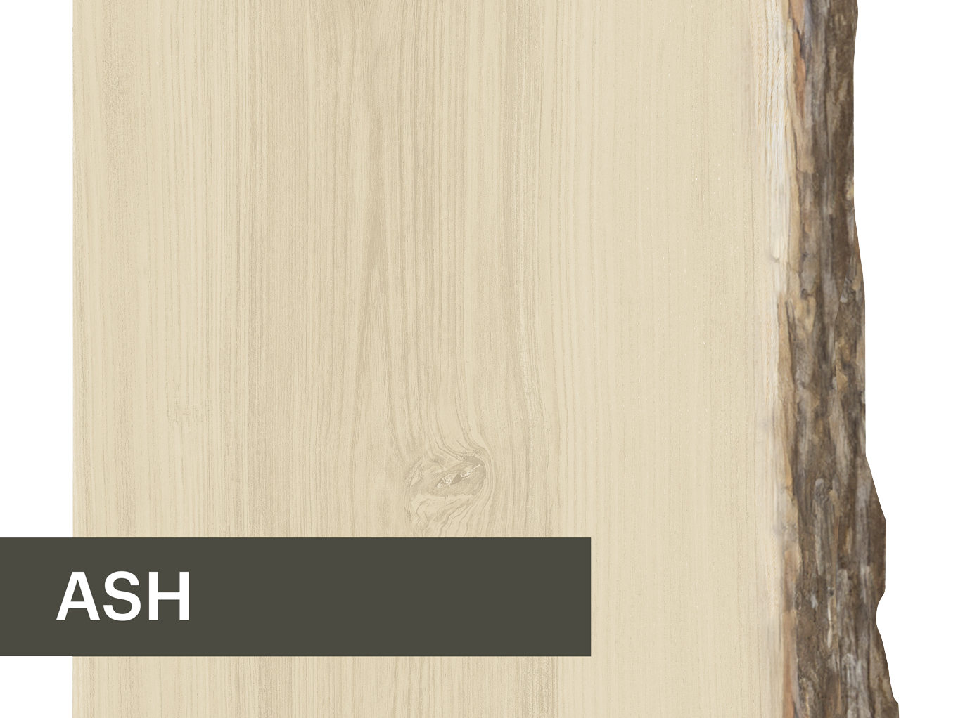 ASH Ash wood