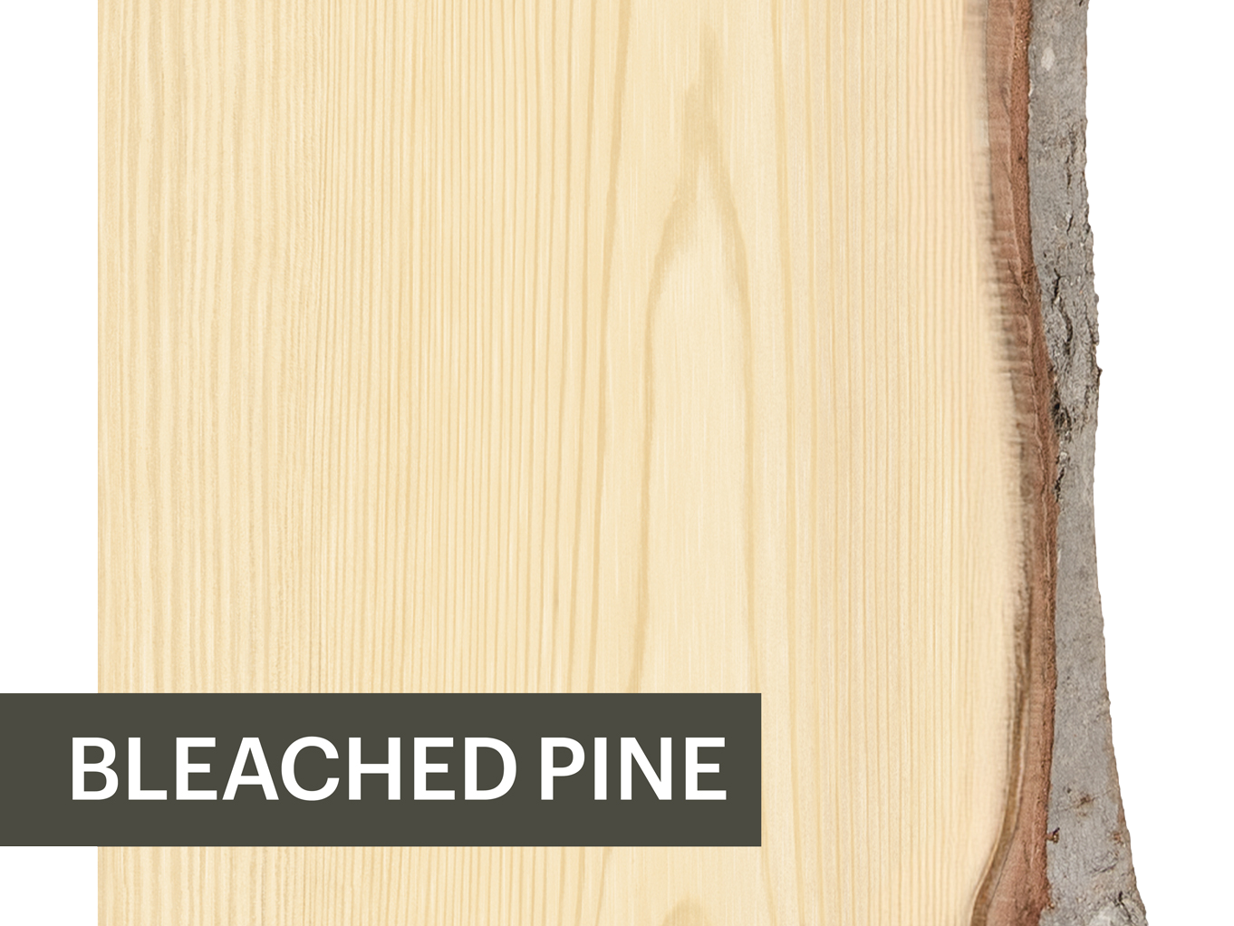 BLEACHED PINE Bleached Pine wood