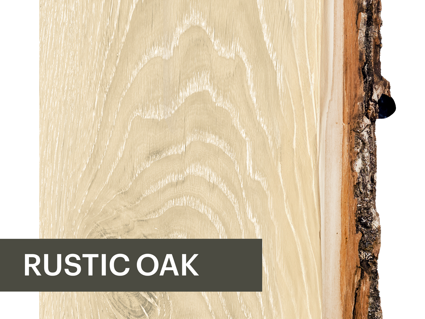 RUSTIC OAK Rustic oak wood