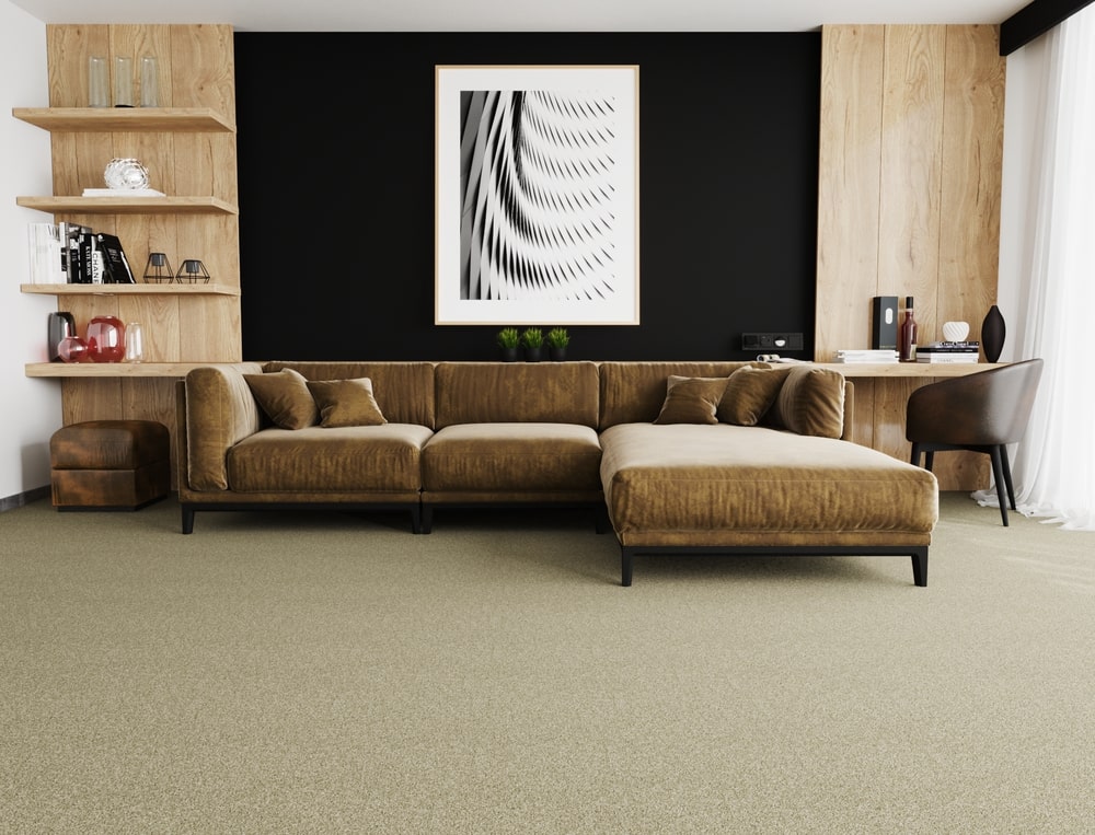 Carpet Blog Living Room A modern living room with earth tones and EF carpet