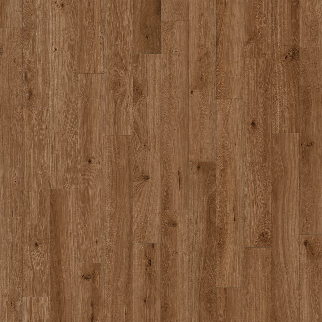 Antiquity 1006 Bayou