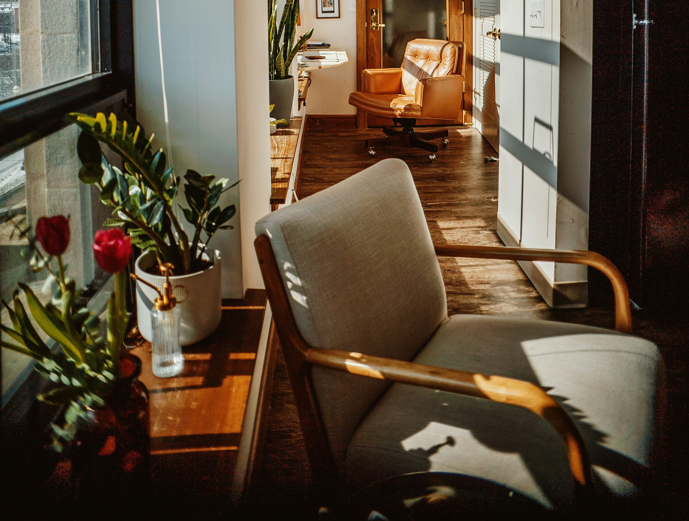 evan-wise-PUJtPqhqoKE-unsplash (1)